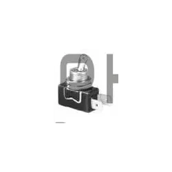 INTERRUPTEUR UNIPOLAIRE 2A