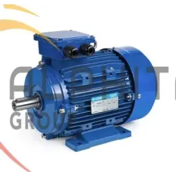 MOTEUR IE1 MS63C - 0.25KW 1500T 220/380 B3