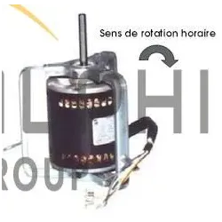MOTEUR RPM 11011000 - 245W POUR NICOTRA