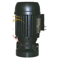 POMPE SACEMI AU56