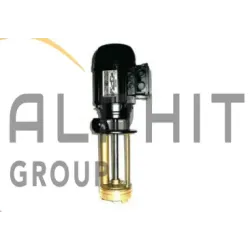 POMPE SACEMI PPI71B 200 TURBINE BRONZE
