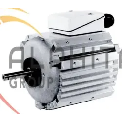 MOTEUR A BOSSAGES CF22 TRI 4P 180 W