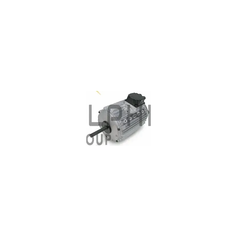 MOTEUR A BOSSAGES CM29 TRI 6P 1100 W MOTEUR A BOSSAGES CM29 TRI 6P 1100 W