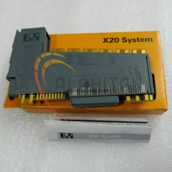 B&R X20DS1119