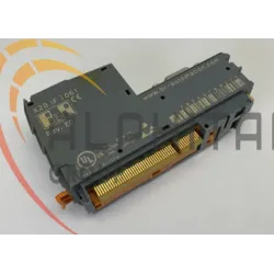 B&R X20IF1061